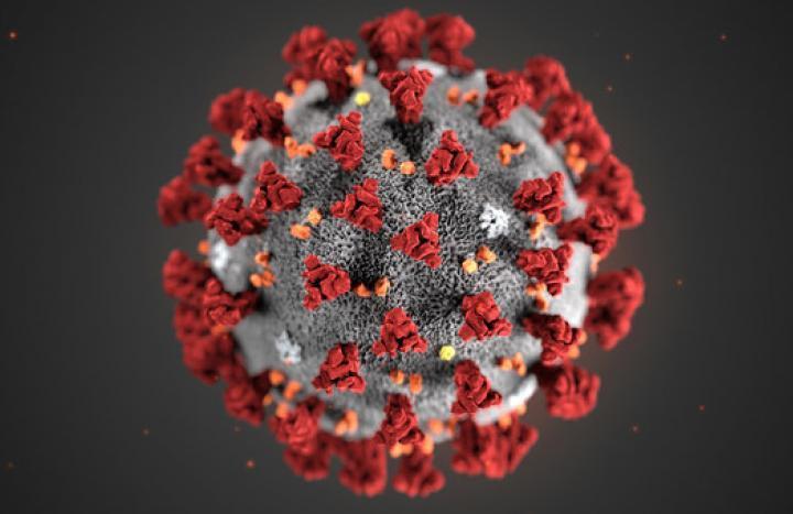 Coronavirus global outbreak
